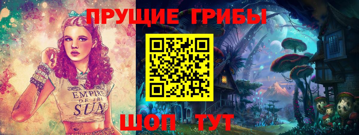 Хасавюрт  Псилоцибиновые грибы Psilocybine cubensis  Вход с VPN 